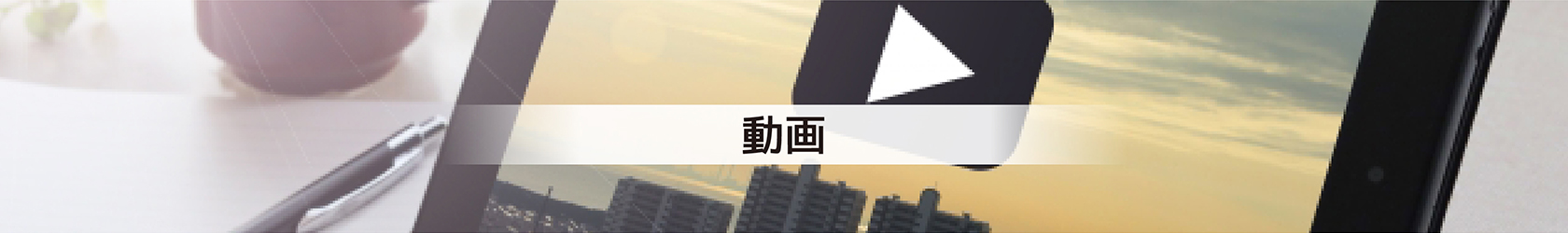動(dòng)畫(huà)詳細(xì)
