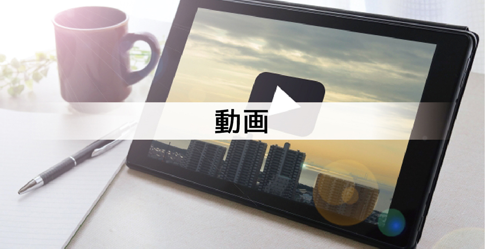 動(dòng)畫(huà)詳細(xì)"